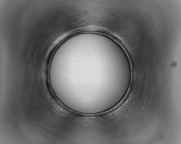 X0000101201410200806270818