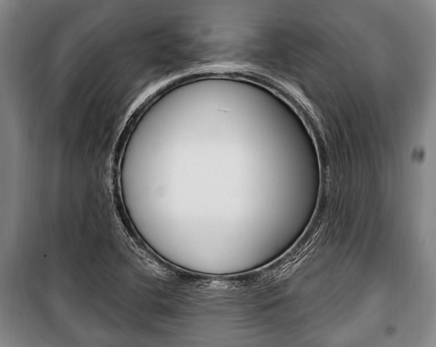 X0000101201412200806270818
