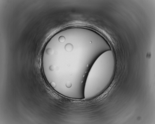X0000101201413200806270818