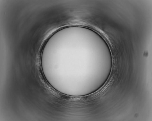 X0000101201415200806270819
