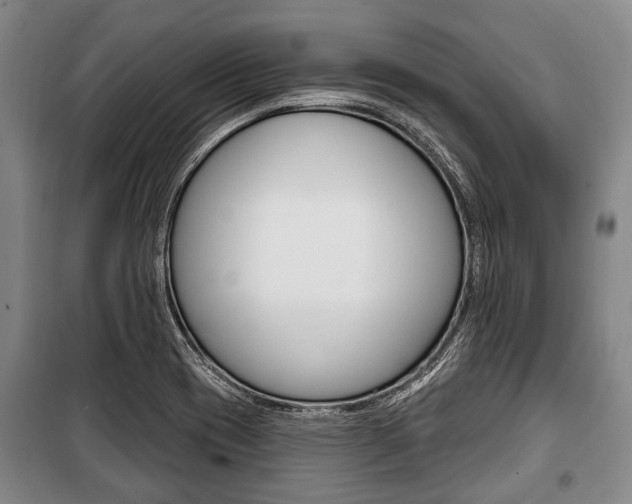 X0000101201417200806270819
