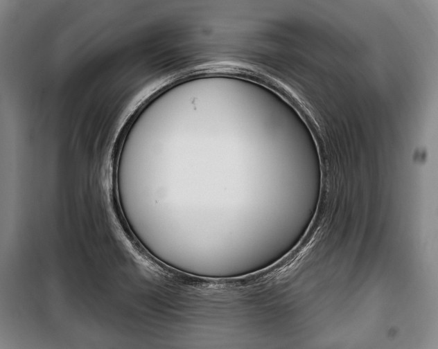 X0000101201418200806270819