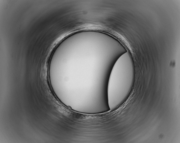 X0000101201419200806270819