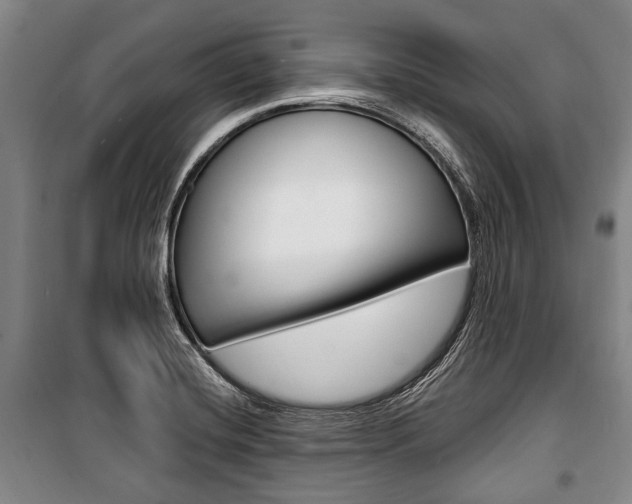X0000101201420200806270819