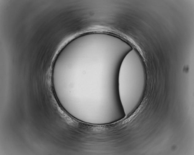 X0000101201421200806270819