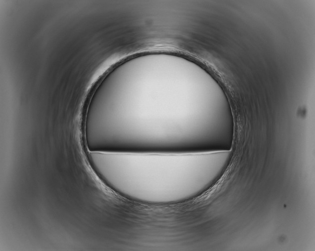 X0000101201422200806270819