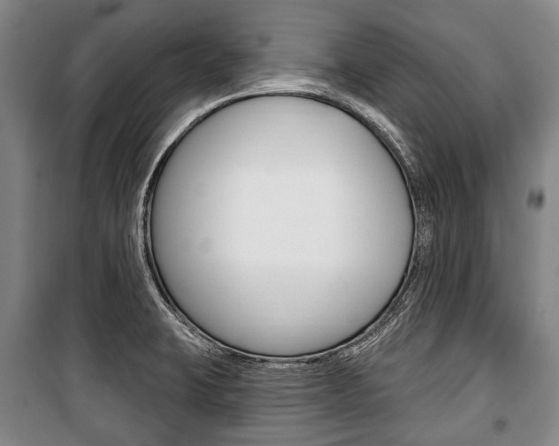 X0000101201423200806270819