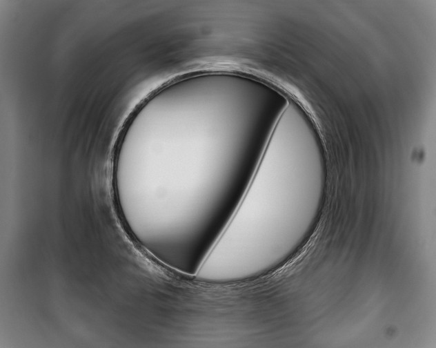 X0000101201424200806270819
