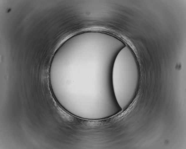 X0000101201425200806270819