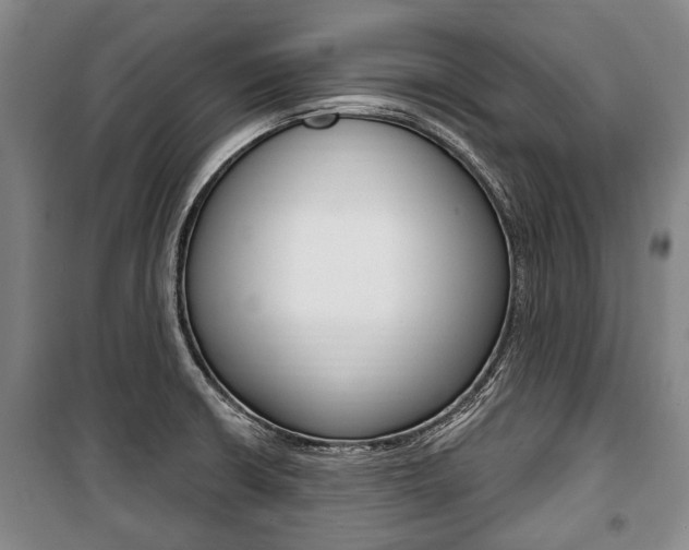 X0000101201426200806270819