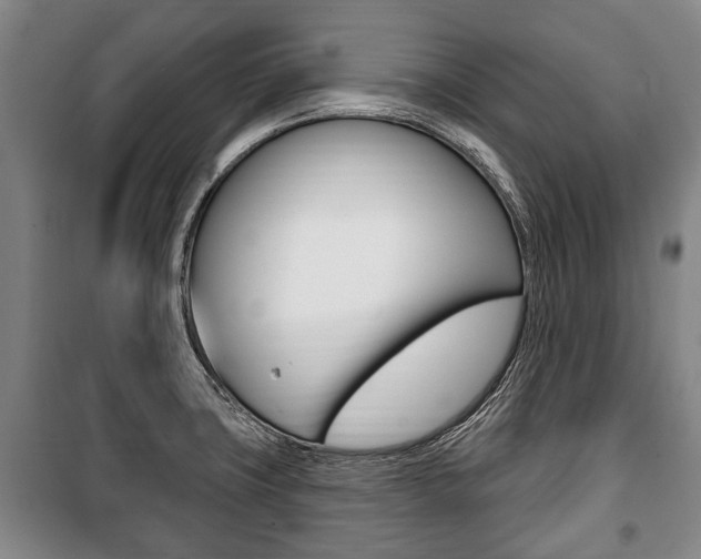 X0000101201427200806270819