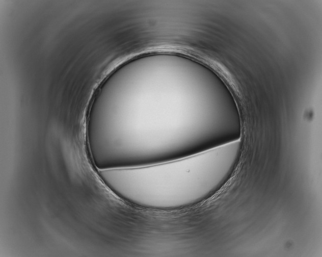 X0000101201428200806270819