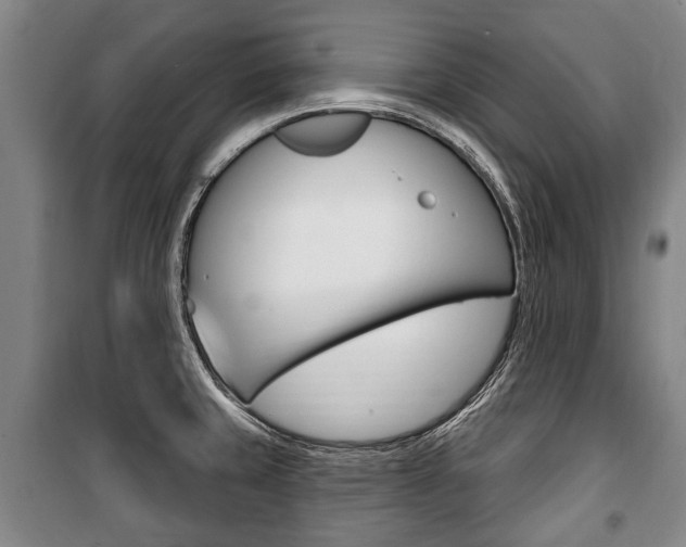 X0000101201429200806270819