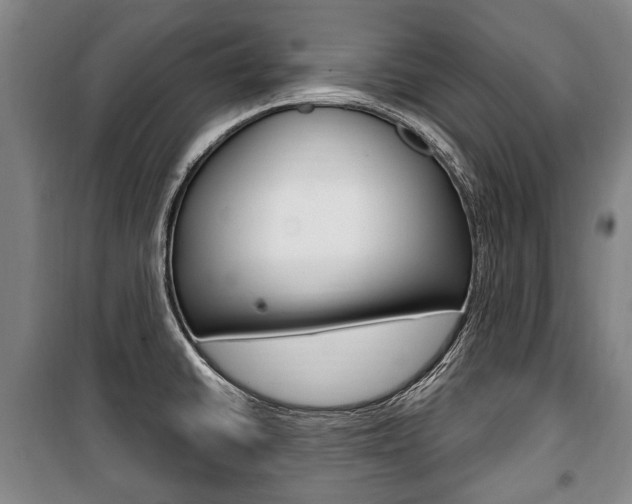 X0000101201430200806270819