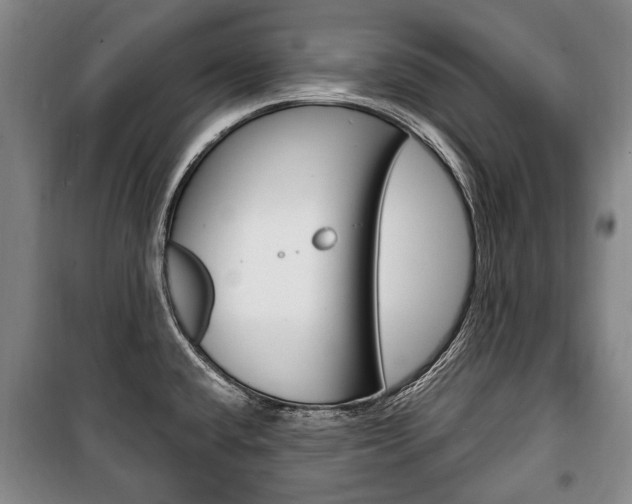 X0000101201432200806270819