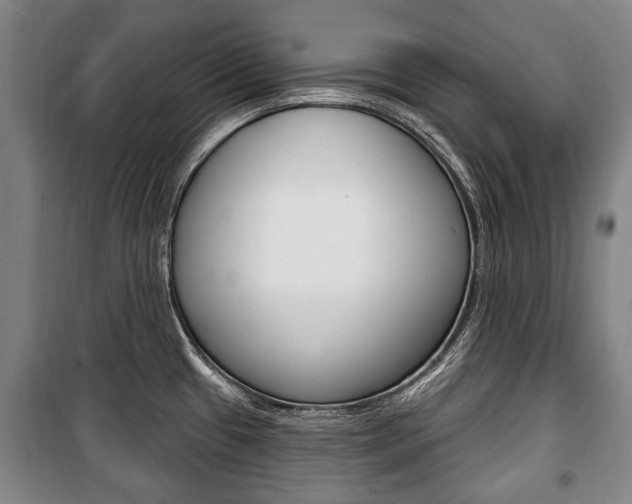 X0000101201433200806270819