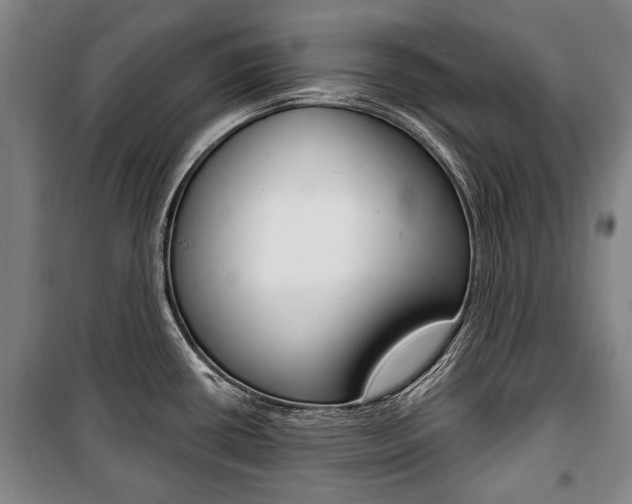 X0000101201434200806270819