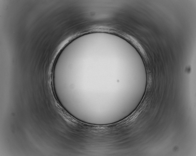 X0000101201435200806270819