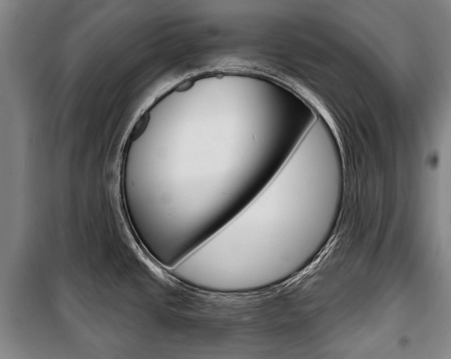 X0000101201437200806270819