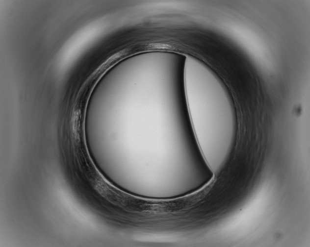 X0000101201438200806270819