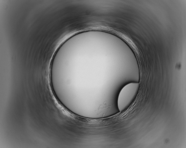 X0000101201439200806270819