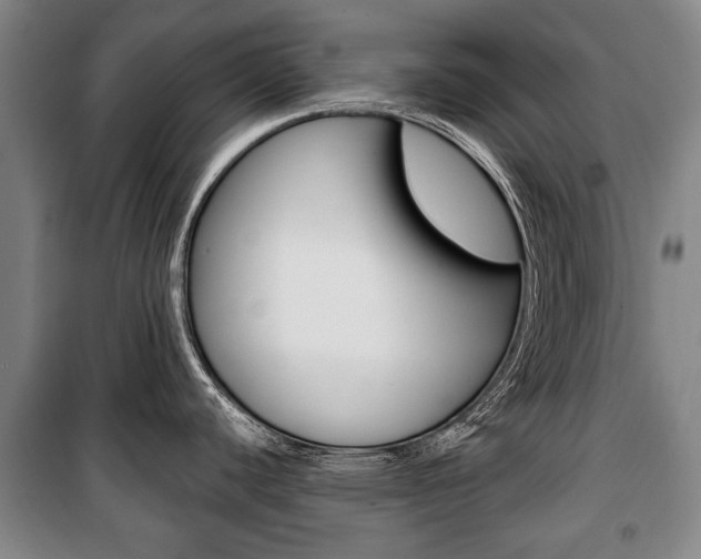 X0000101201440200806270819