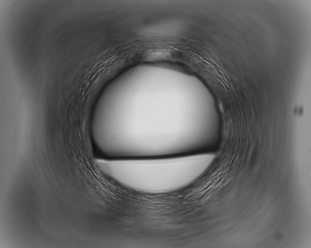 X0000101201441200806270818