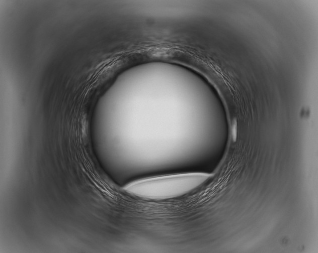 X0000101201444200806270818