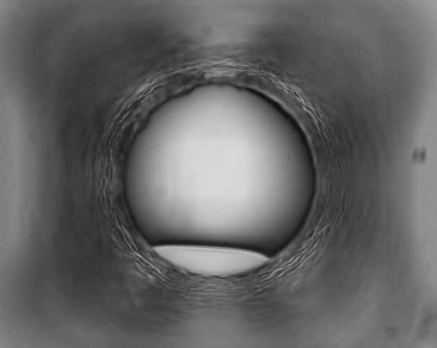 X0000101201445200806270818