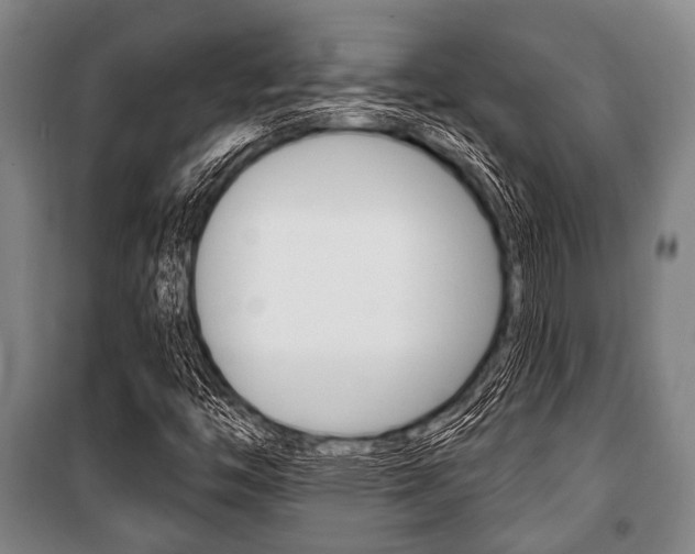 X0000101201446200806270818