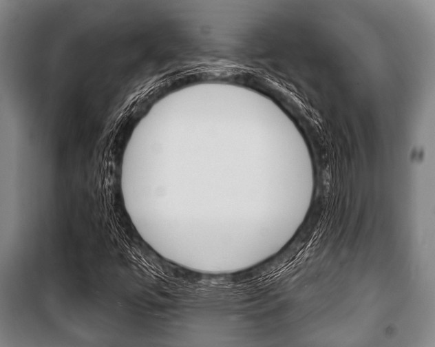X0000101201447200806270818