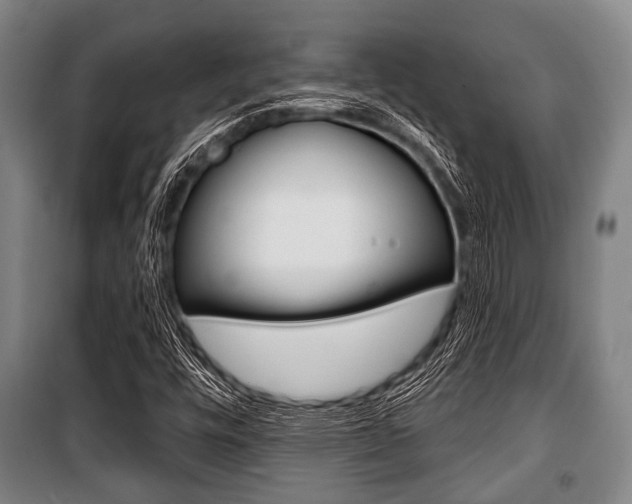 X0000101201448200806270818