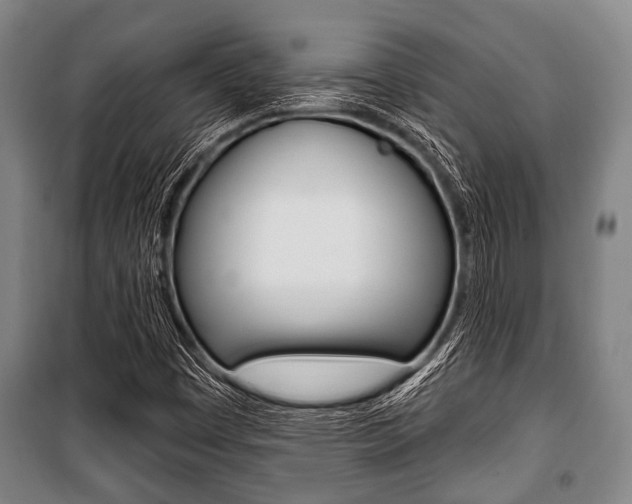 X0000101201449200806270818