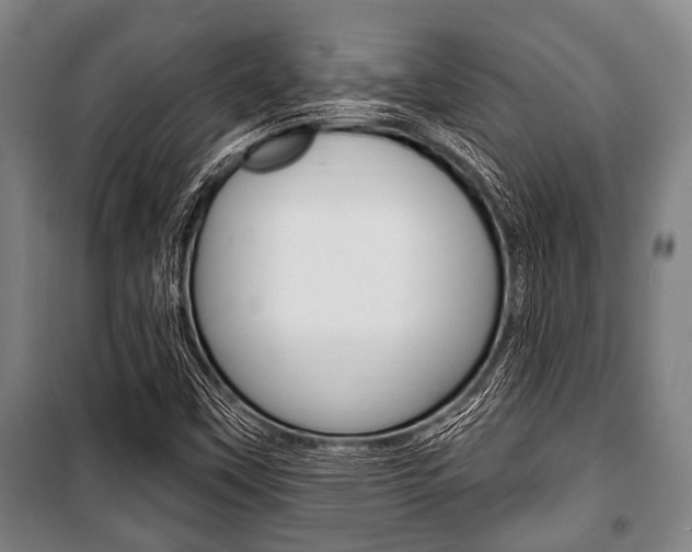 X0000101201451200806270818
