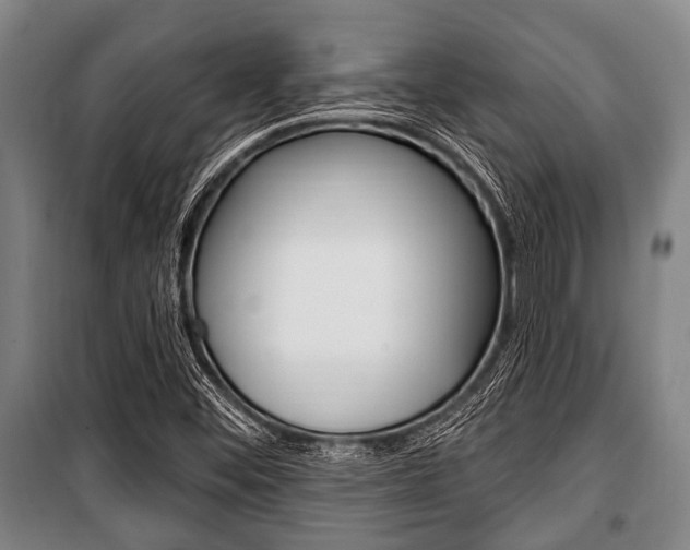 X0000101201452200806270818