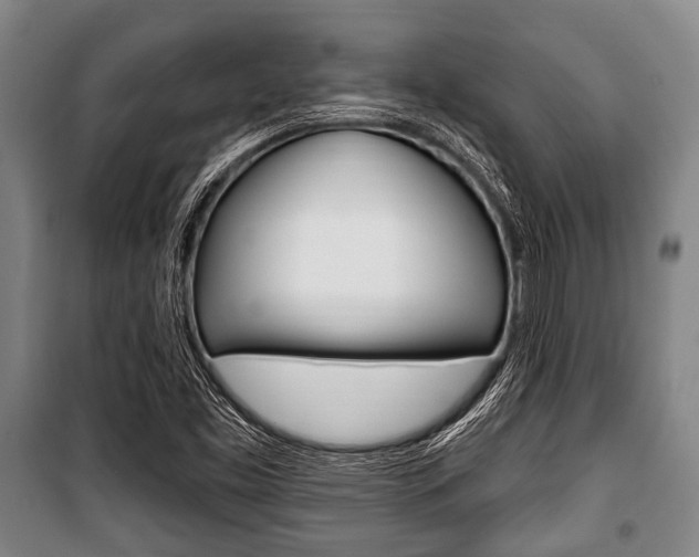 X0000101201453200806270818