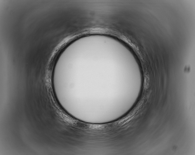 X0000101201454200806270818