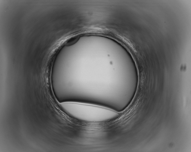 X0000101201455200806270818