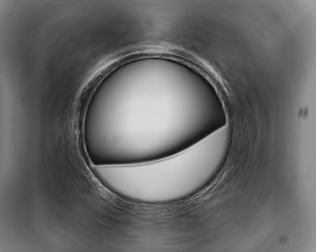 X0000101201456200806270818