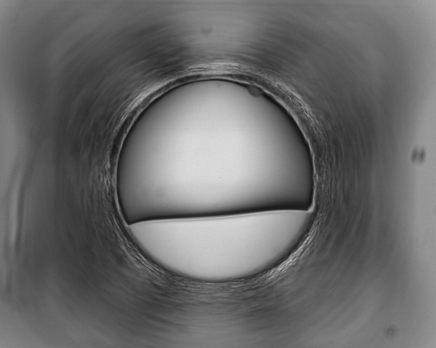X0000101201457200806270818