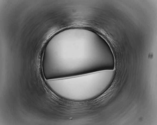 X0000101201459200806270818