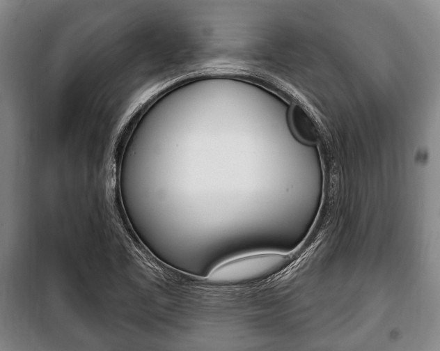X0000101201461200806270818