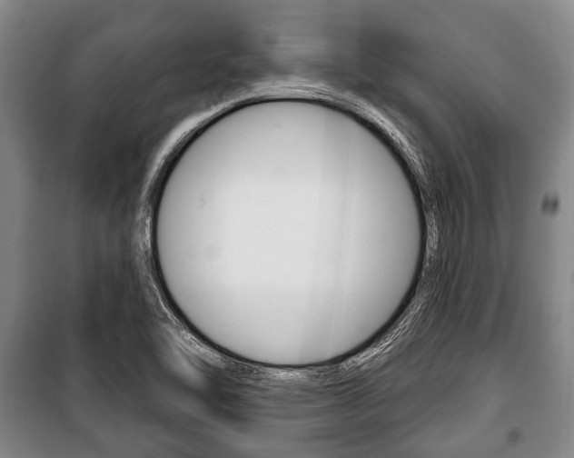X0000101201462200806270818