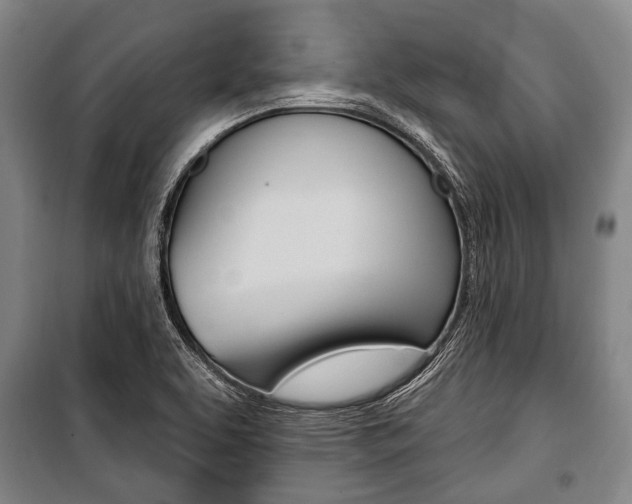 X0000101201463200806270818