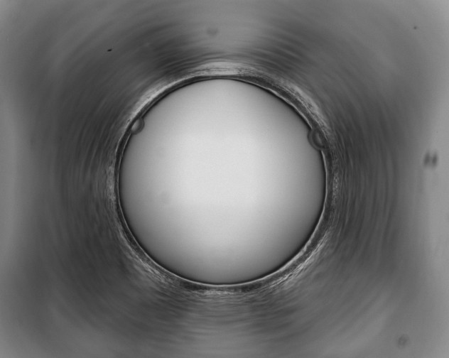 X0000101201465200806270818