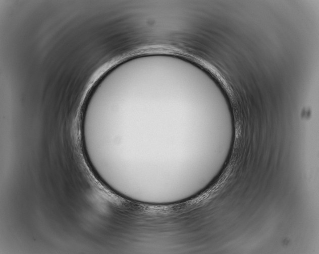 X0000101201466200806270818