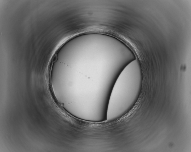 X0000101201467200806270818
