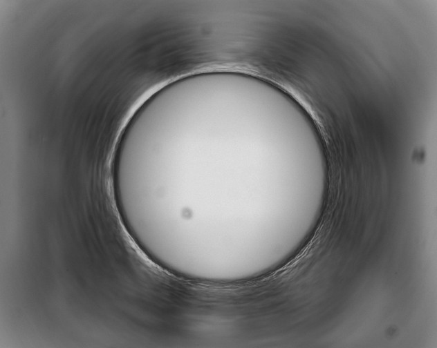 X0000101201468200806270818