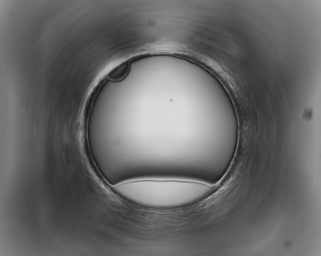 X0000101201469200806270818