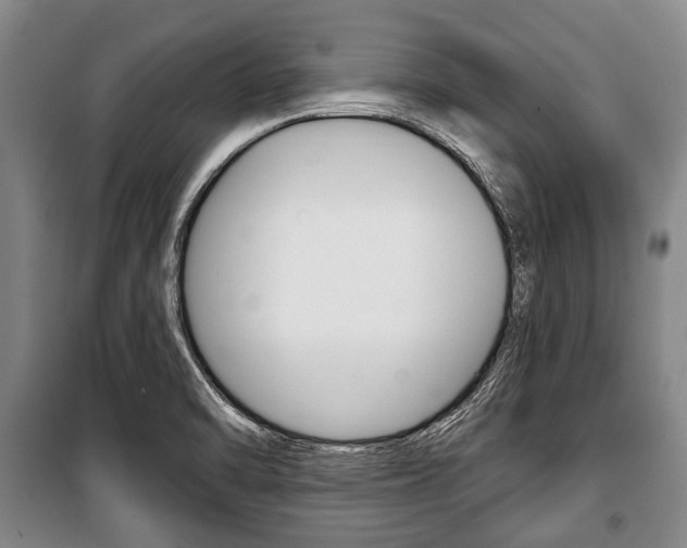 X0000101201470200806270818